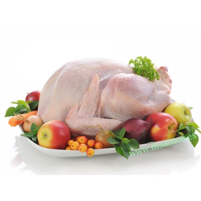 PAVO DE PRIMERA