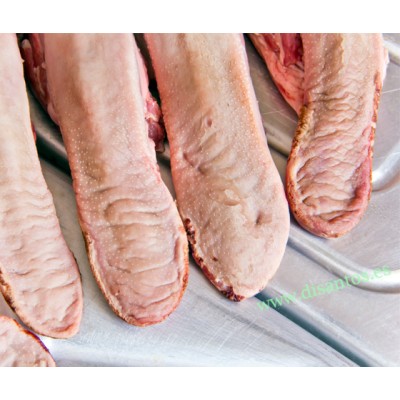 LENGUA DE CERDO LENGUA DE CERDO