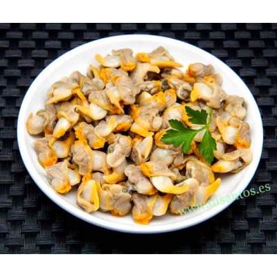 BERBERECHO OL-120 GRAND SELEC DIAMIR R-5007