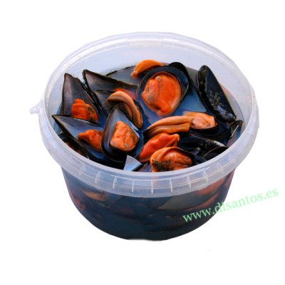 MEJILLON RIAS GALLEGAS  MEDIA/CONCHA AZUL