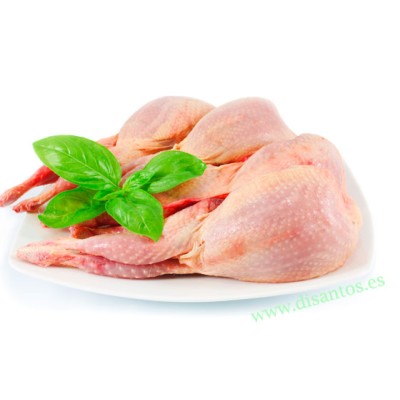 Codorniz fresca envasada 1x4 unidades